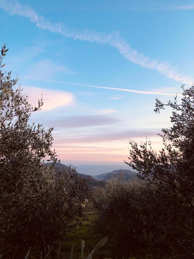 Bed And Breakfast Ca Du 5 Tovo San Giacomo Екстер'єр фото